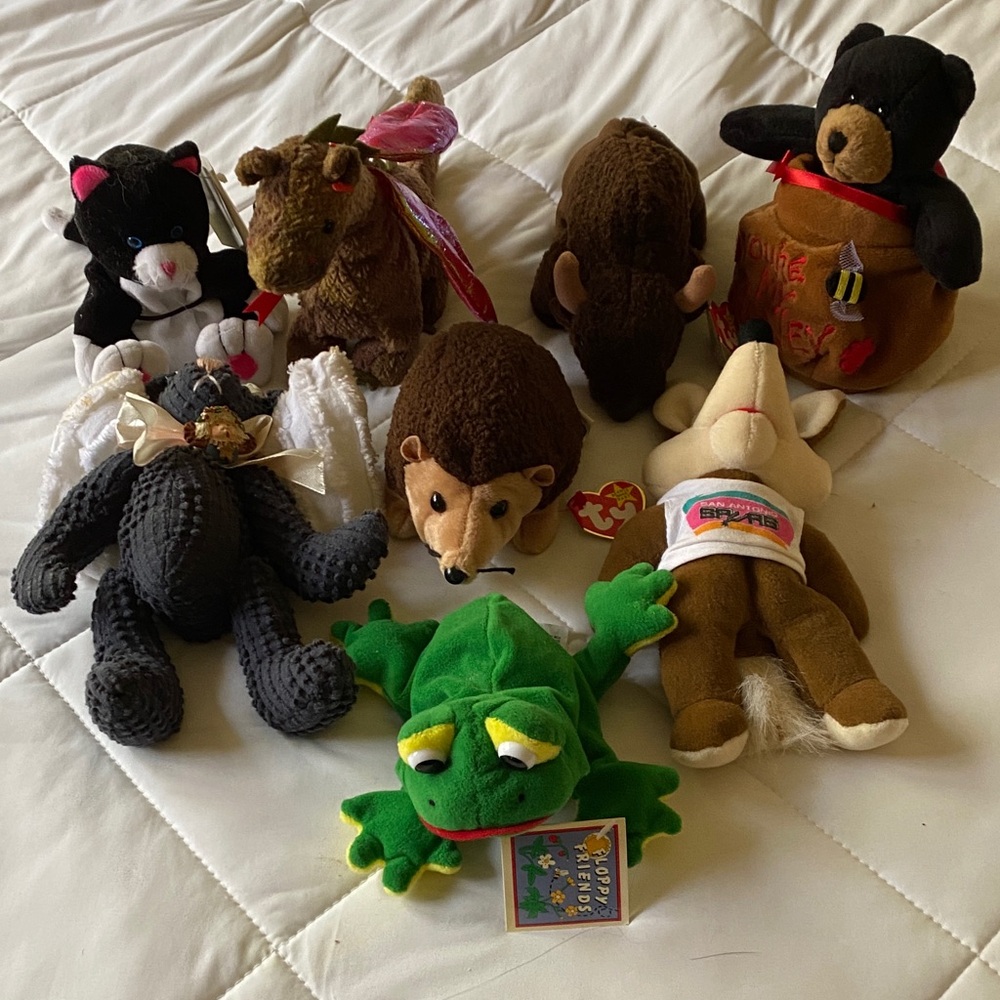 Beanie Babys all new with tags on them. Never been used.